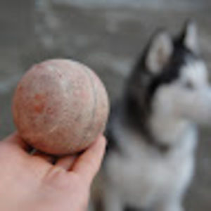 Meet your Posher, Moriah